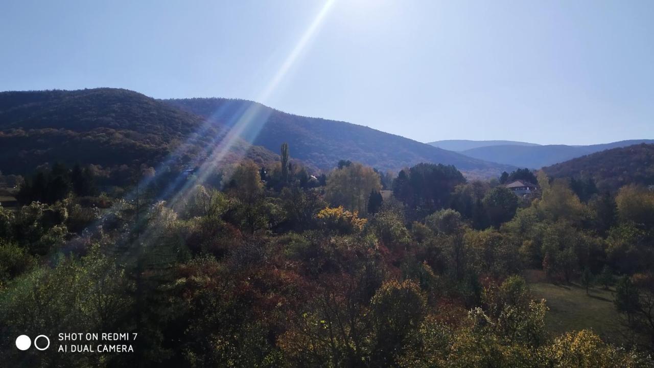Sky Apartman Soko Banja Exterior photo
