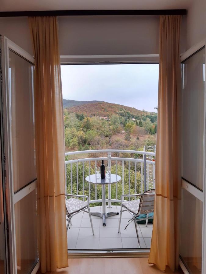 Sky Apartman Soko Banja Exterior photo