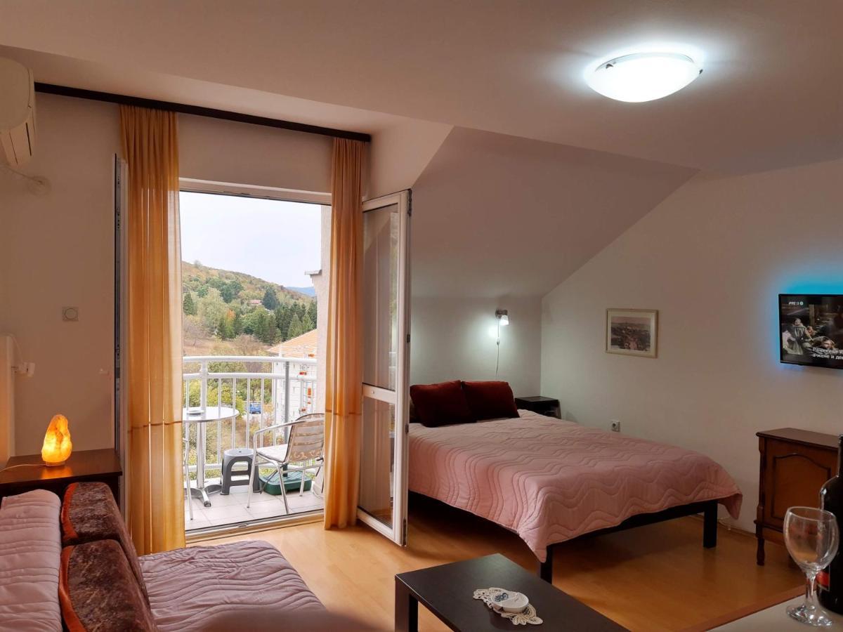 Sky Apartman Soko Banja Exterior photo